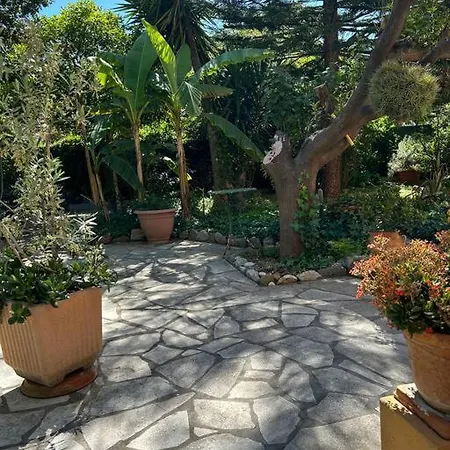 Apartamento T3 Dans Pres De La Nice