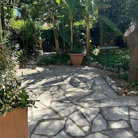 Apartamento T3 Dans Pres De La